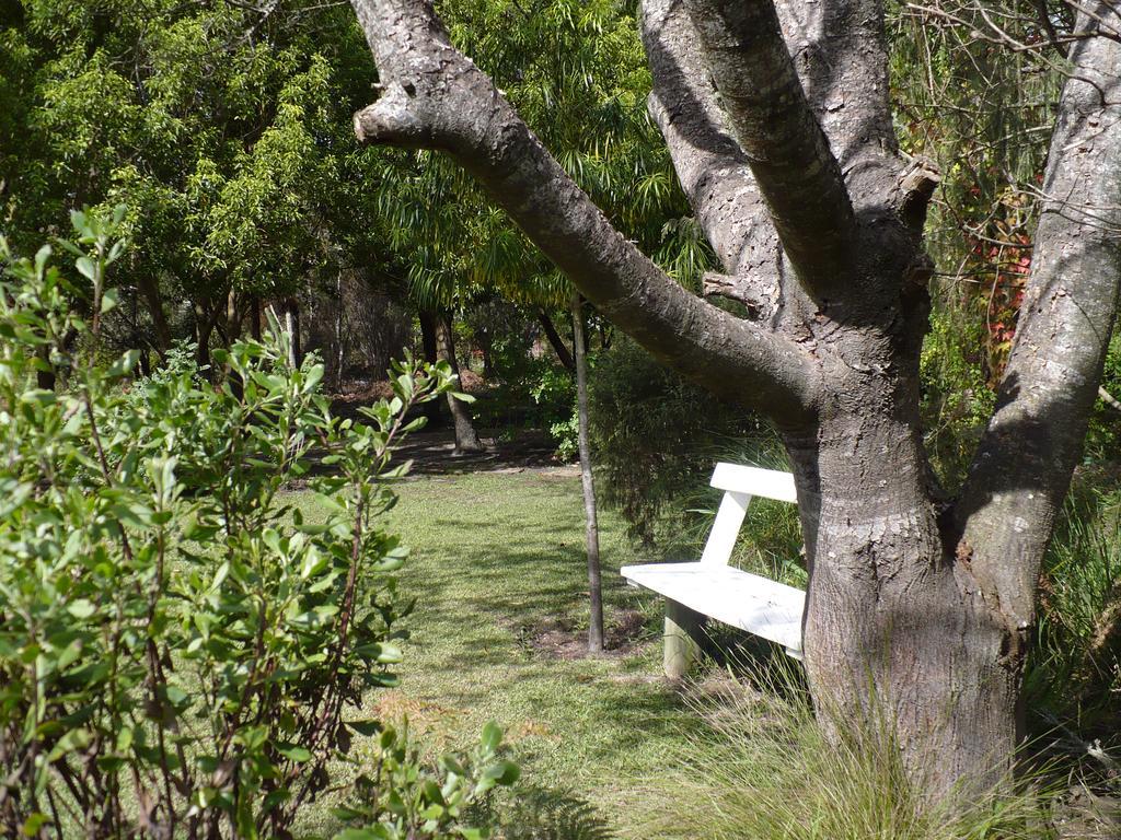 Tsitsikhaya Lodge Stormsrivier Exterior photo